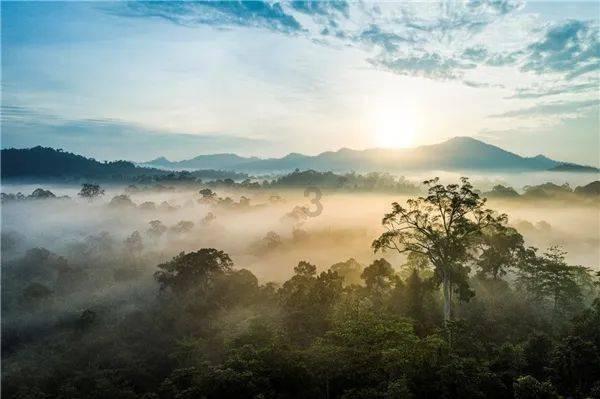 孙绍骋调研全面贯彻铸牢中华民族共同体意识主线工作 张延昆参加