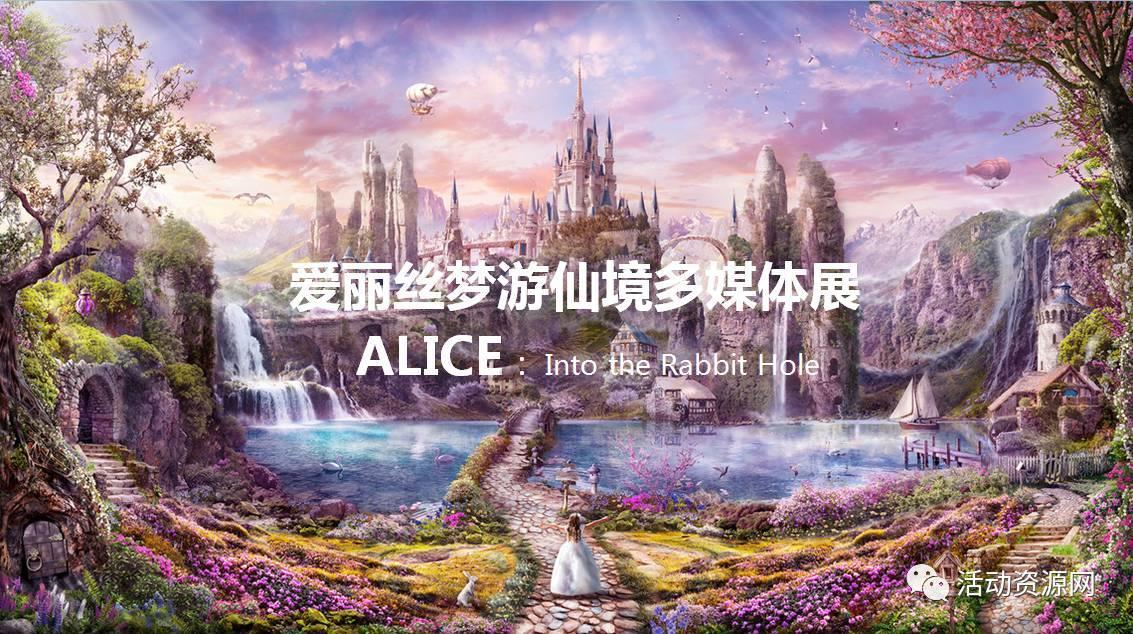 孤独的流浪者救援
